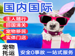 丹东浪头航空托运国际宠物托运 【国